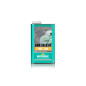 Huile filtre à air MOTOREX Air Filter Oil 206 - 1L Huile filtre à air MOTOREX Air Filter Oil 206 - 1L